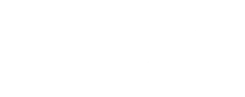 Phomi Logo